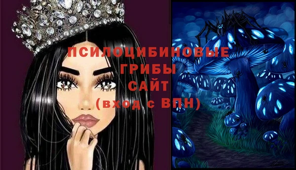 прущая мука Дмитров