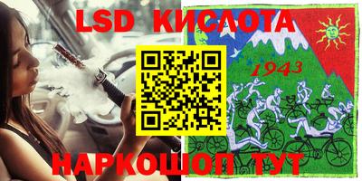 шишки Аргун