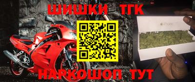 шишки Аргун