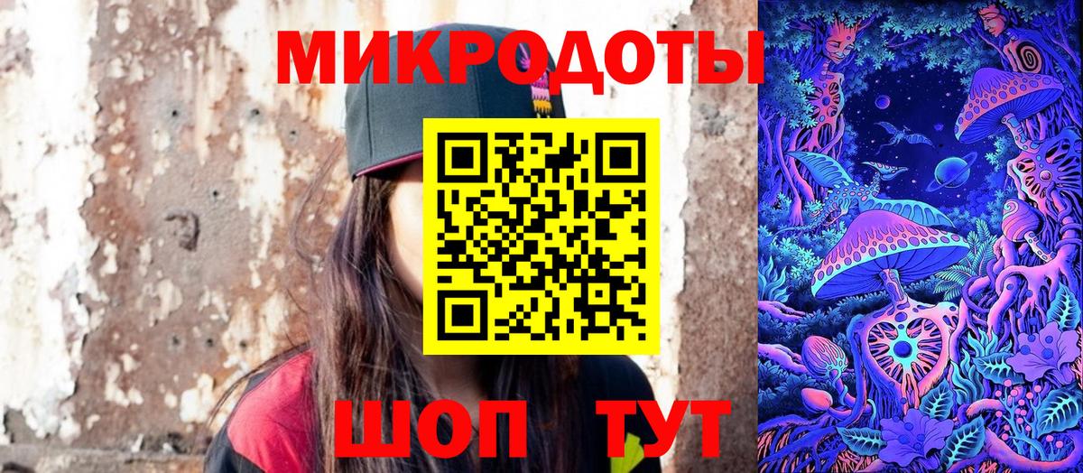 Галлюциногенные грибы Psilocybe  Междуреченск 